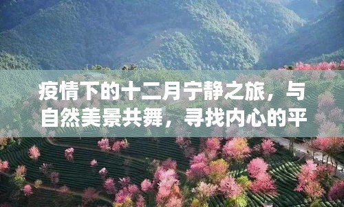 疫情下的十二月宁静之旅，与自然共舞，探寻内心平和之道