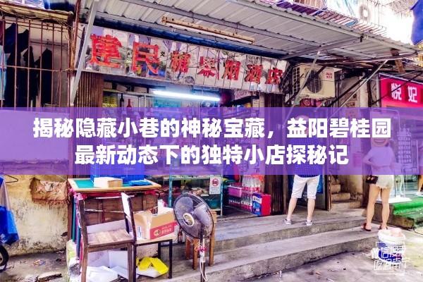 益阳碧桂园周边神秘小巷的宝藏小店探秘之旅