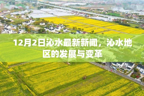 沁水地区发展与变革的最新动态，12月2日新闻速递