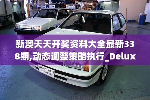 新澳天天开奖资料大全最新338期,动态调整策略执行_Deluxe46.175-4