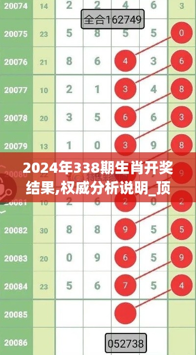 2024年338期生肖开奖结果,权威分析说明_顶级款83.369-4