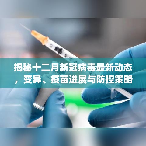 揭秘十二月新冠病毒最新动态，变异、疫苗进展与防控策略调整全解析