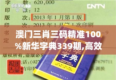 澳门三肖三码精准100%新华字典339期,高效设计计划_升级版40.864-3