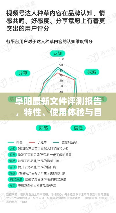 阜阳文件评测报告，特性详解、用户体验与目标用户分析