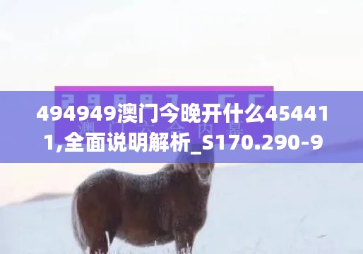 494949澳门今晚开什么454411,全面说明解析_S170.290-9