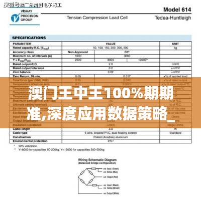 澳门王中王100%期期准,深度应用数据策略_精英款90.614-9