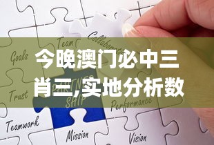 今晚澳门必中三肖三,实地分析数据执行_10DM11.296-6