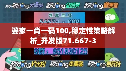 婆家一肖一码100,稳定性策略解析_开发版71.667-3