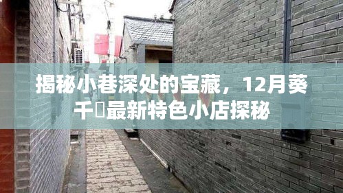 探秘小巷深处的宝藏，揭秘葵千恵特色小店的秘密