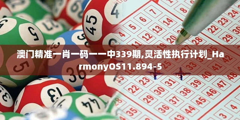 澳门精准一肖一码一一中339期,灵活性执行计划_HarmonyOS11.894-5