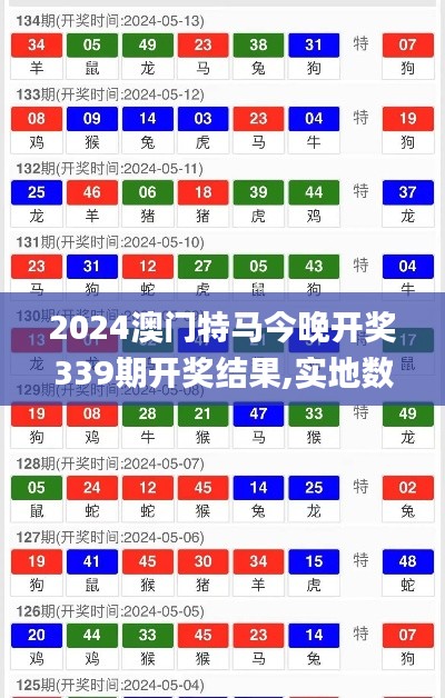 2024澳门特马今晚开奖339期开奖结果,实地数据分析计划_P版55.741-2