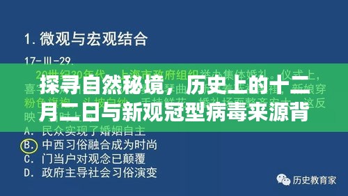 揭秘自然秘境，十二月二日背后的历史与新型冠型病毒起源之谜