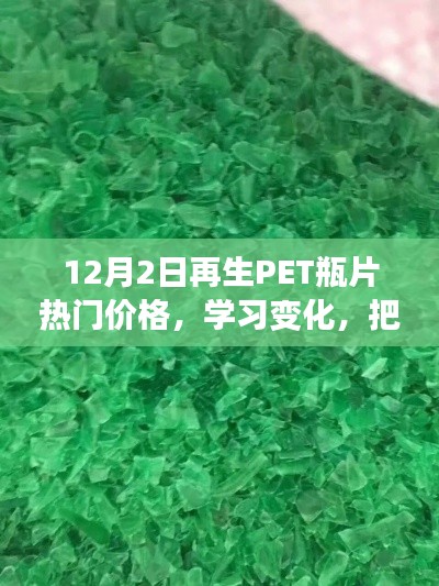 再生PET瓶片热门价格动态，学习变化，抓住机遇，塑造自信人生