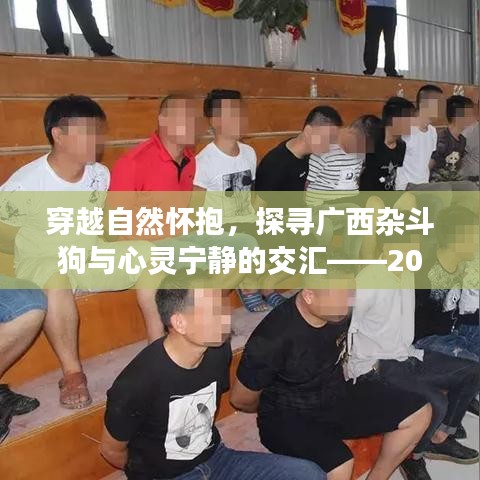 品牌故事 第459页