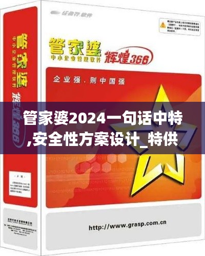 管家婆2024一句话中特,安全性方案设计_特供版163.511