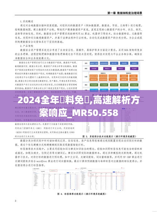 2024全年資料免費,高速解析方案响应_MR50.558