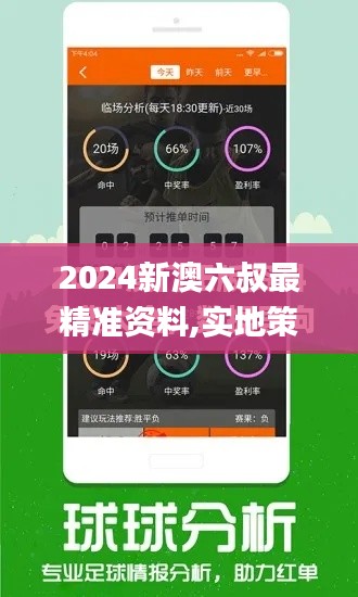 2024新澳六叔最精准资料,实地策略计划验证_BT37.348