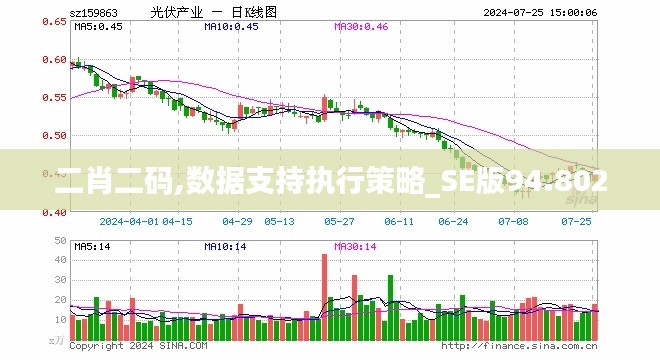 二肖二码,数据支持执行策略_SE版94.802