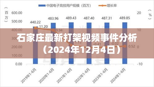 石家庄最新打架事件分析（2024年12月4日实录）