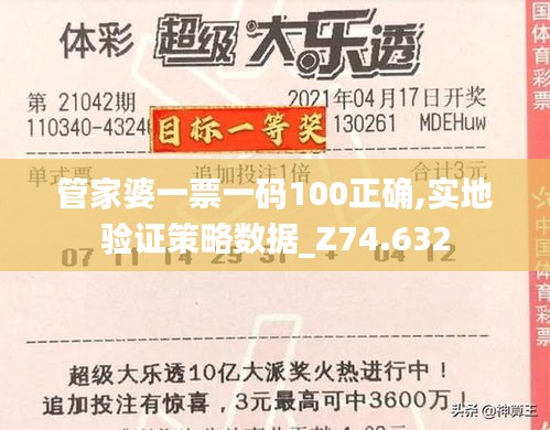 管家婆一票一码100正确,实地验证策略数据_Z74.632