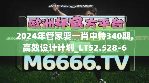 2024年管家婆一肖中特340期,高效设计计划_LT52.528-6