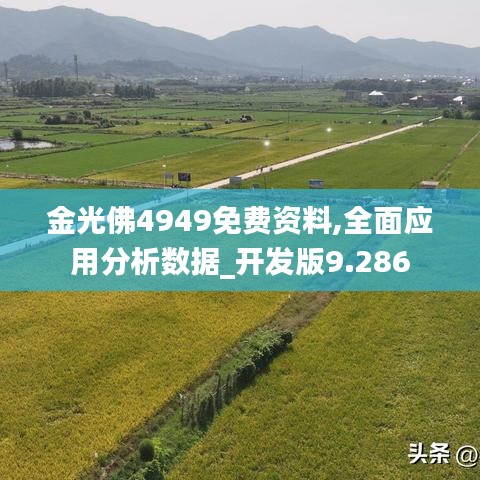 金光佛4949免费资料,全面应用分析数据_开发版9.286