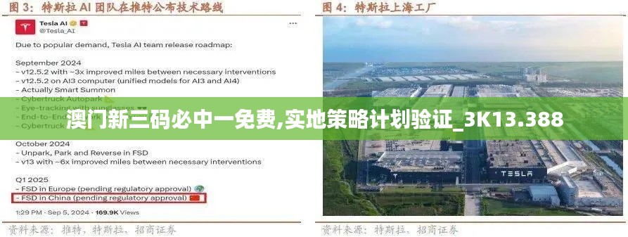 澳门新三码必中一免费,实地策略计划验证_3K13.388