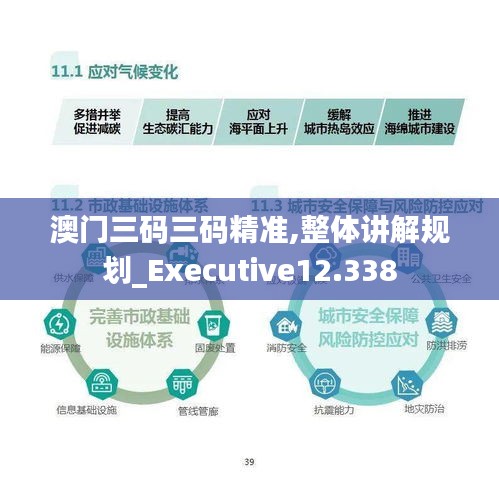 澳门三码三码精准,整体讲解规划_Executive12.338