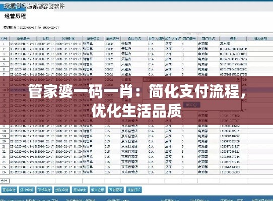 管家婆一码一肖：简化支付流程，优化生活品质