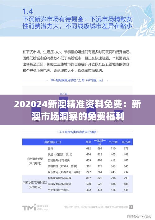 202024新澳精准资料免费：新澳市场洞察的免费福利