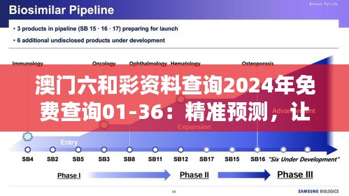 澳门六和彩资料查询2024年免费查询01-36：精准预测，让您赢得更轻松