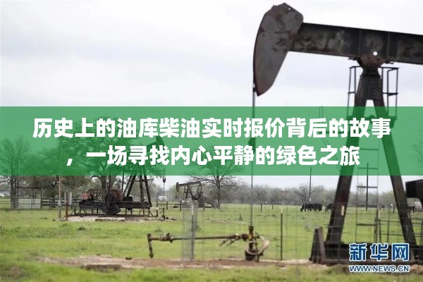 历史油库柴油实时报价背后的故事，绿色之旅探寻内心平静之路