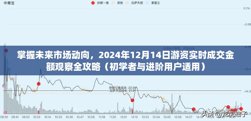 掌握未来市场动向，游资实时成交金额观察全攻略（适合初学者与进阶用户）深度解析于2024年12月14日