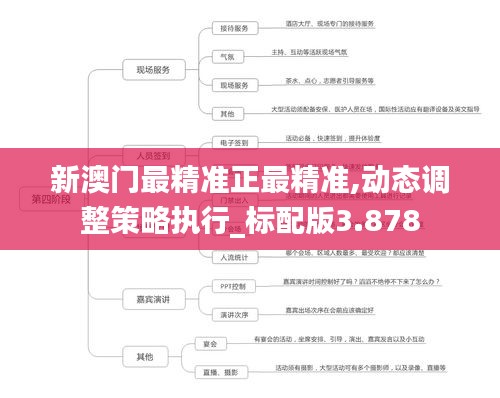 新澳门最精准正最精准,动态调整策略执行_标配版3.878