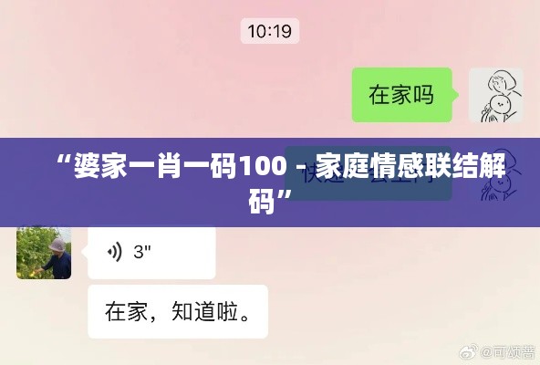 “婆家一肖一码100 - 家庭情感联结解码”