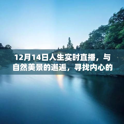 12月14日人生直播，与自然美景的邂逅，踏寻内心平和之旅