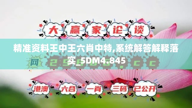 精准资料王中王六肖中特,系统解答解释落实_5DM4.845