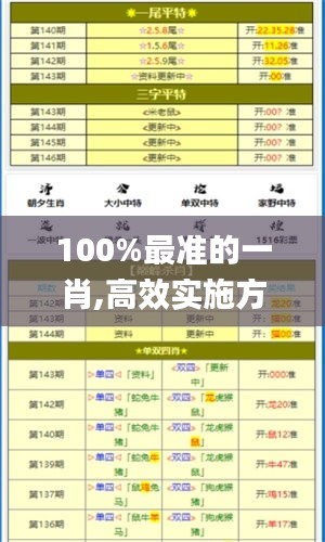 100%最准的一肖,高效实施方法解析_OP4.735