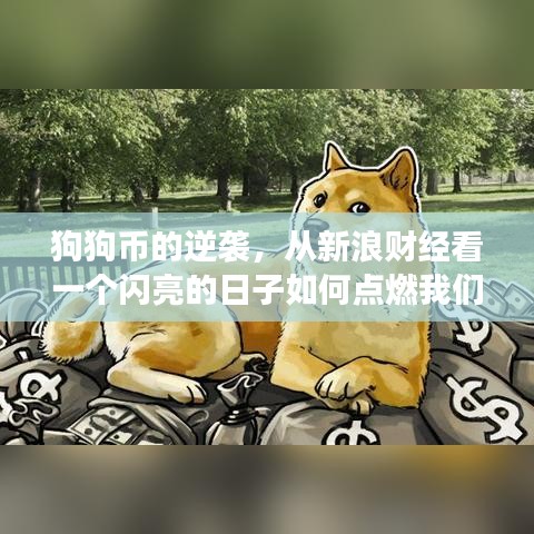 狗狗币逆袭之路，新浪财经揭示闪亮日子背后的信心与梦想燃起之旅