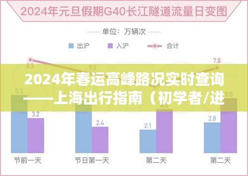 春运高峰路况实时查询指南，上海出行攻略（初学者与进阶用户版）