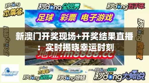 新澳门开奖现场+开奖结果直播：实时揭晓幸运时刻