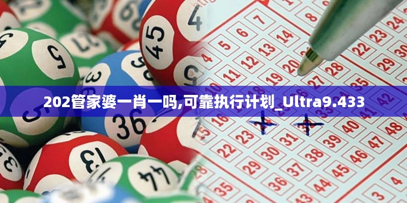 202管家婆一肖一吗,可靠执行计划_Ultra9.433