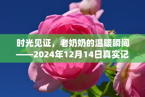 时光见证，老奶奶温暖瞬间——2024年12月14日纪实