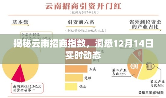 揭秘云南招商指数，最新实时动态分析（12月14日更新）