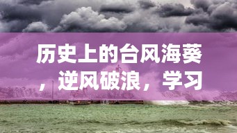 台风海葵，逆风破浪，学习变化的力量铸就自信与成就之路