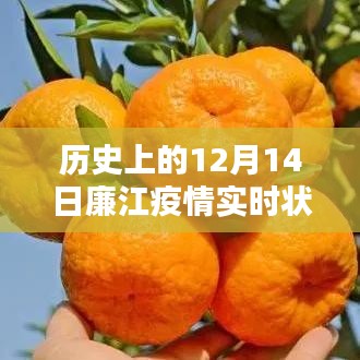 历史上的廉江疫情实时状况及影响深度分析，聚焦12月14日数据