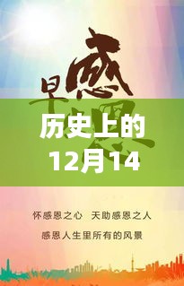 深公司债背后的励志故事与变革力量，历史视角下的12月14日回顾