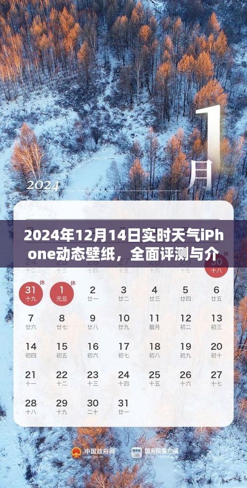 2024年实时天气iPhone动态壁纸全面评测与介绍