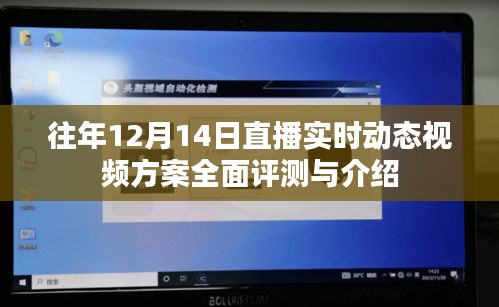 往年直播盛况回顾，直播实时动态视频方案全面评测与介绍