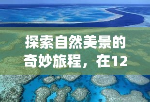 探寻自然美景的奇妙之旅，在C实时曲线数据中体验内心的平和与宁静（12月14日）